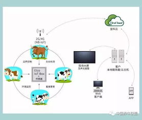 一個你不知道的神器！不了解它，連牛羊都不讓你養，你還談什么智慧養殖？